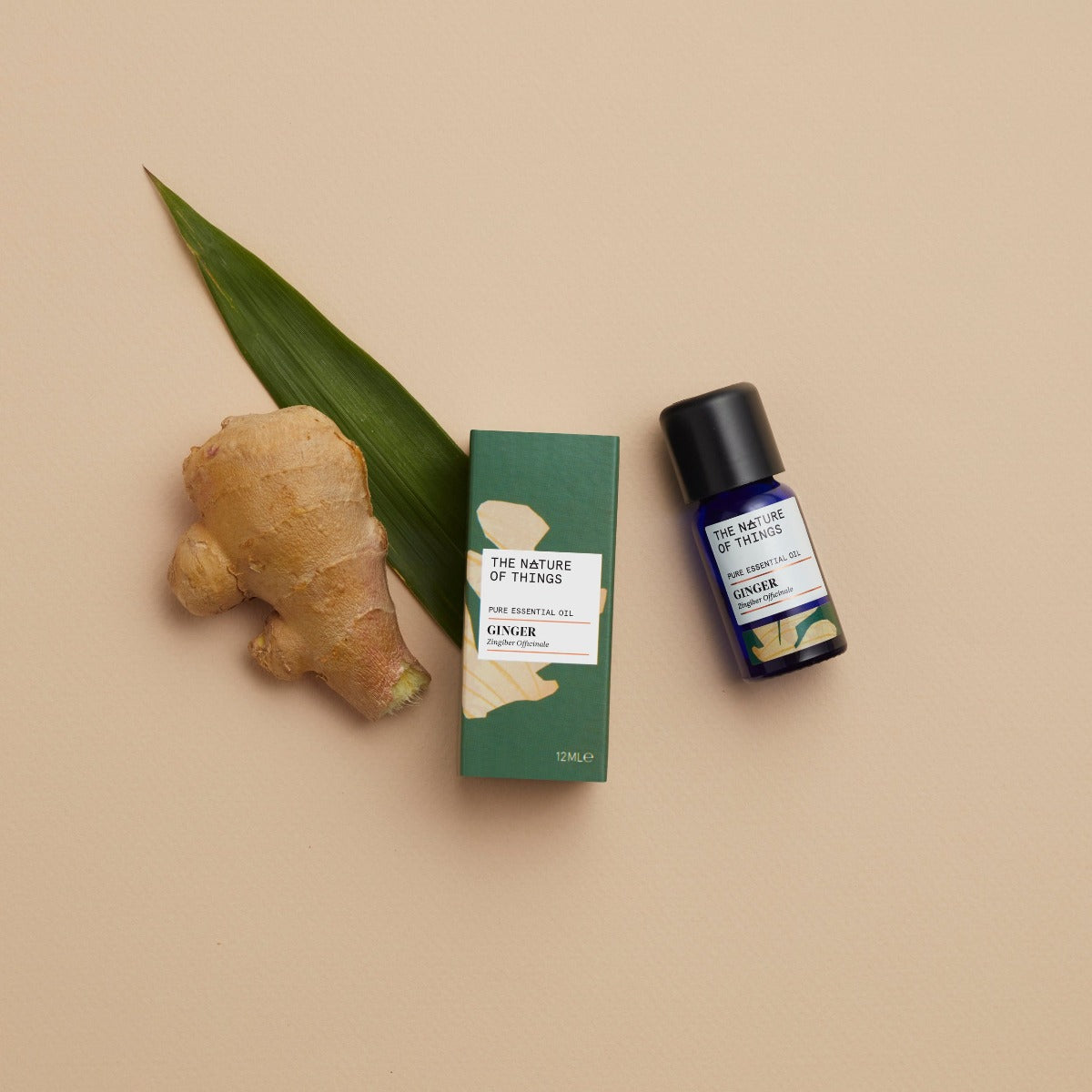 Organic Ginger Essential Oil from The Nature of Things