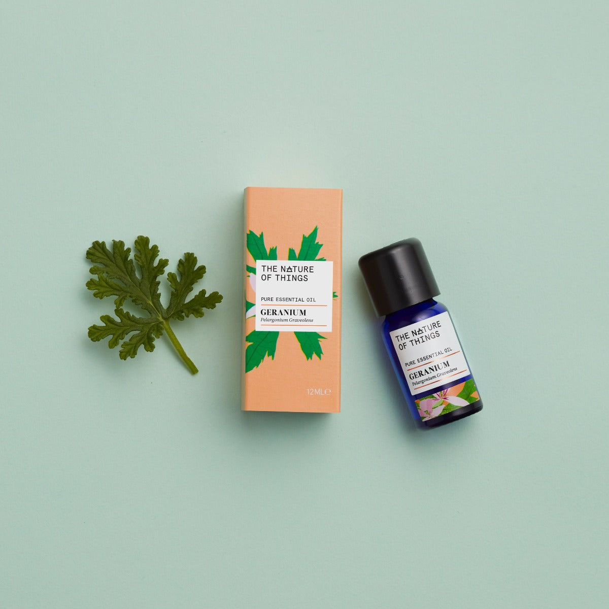 Organic Geranium Essential Oil from The Nature of Things