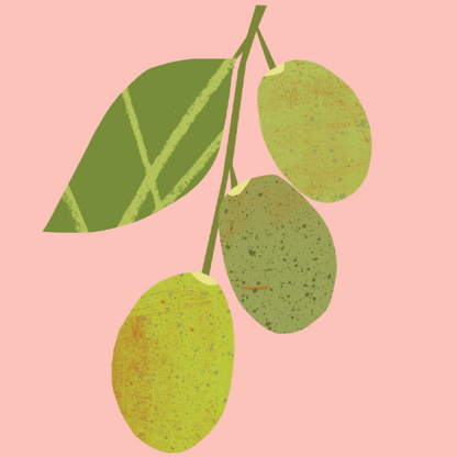 Organic Jojoba Oil from The Nature of Things